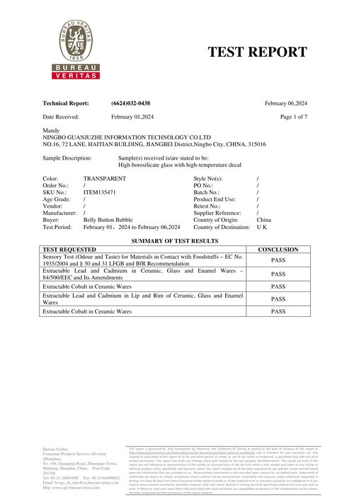 Bureau Veritas Inspection Report