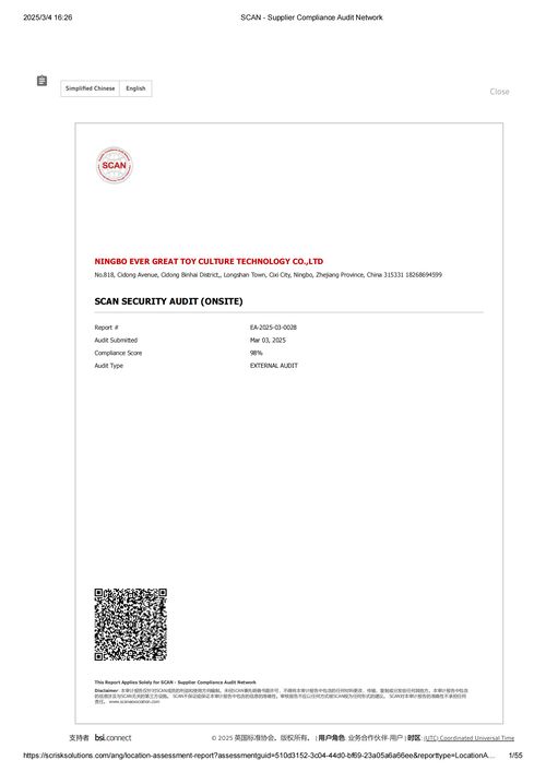 Scan On-site Safety Audit Report