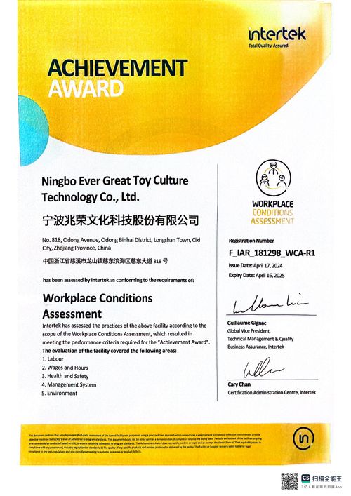 Workplace Conditions Assessment Achievement Certificate