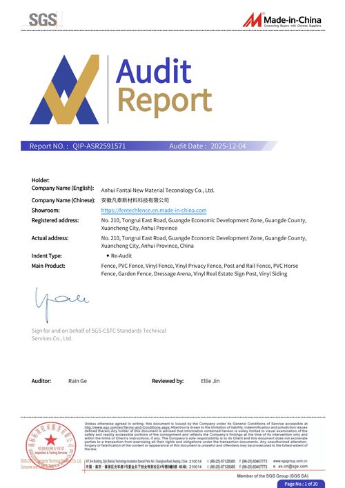 Sgs Audit Report