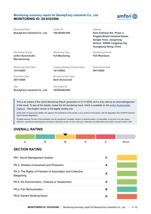 Amfori Bsci Monitoring Summary Report